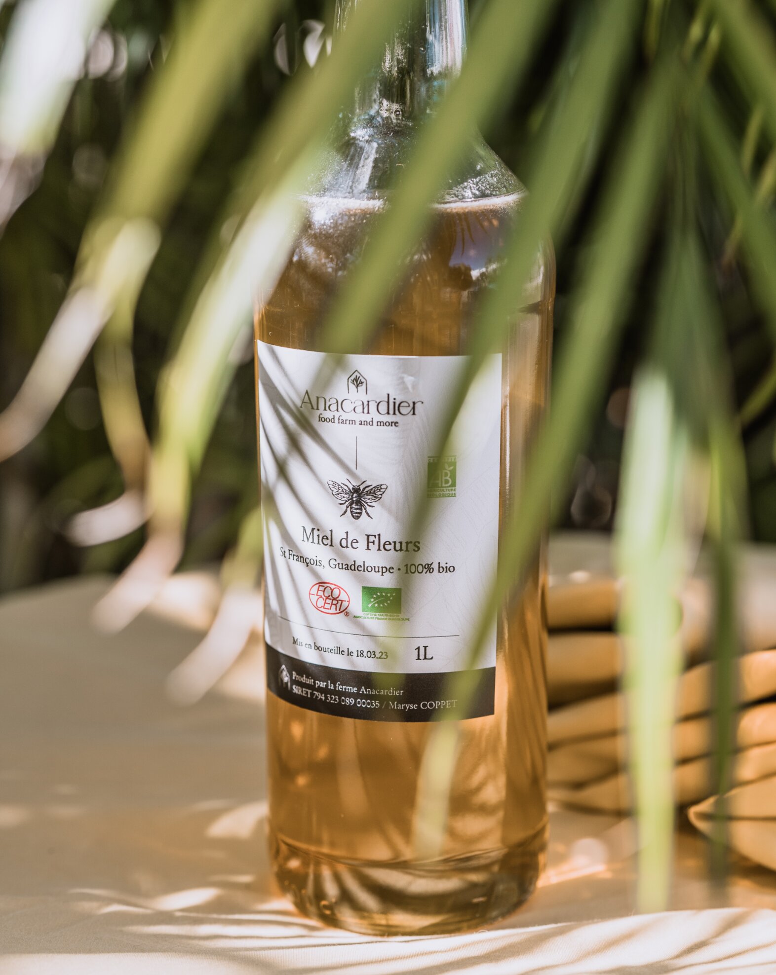 La nature à L'Anacardier