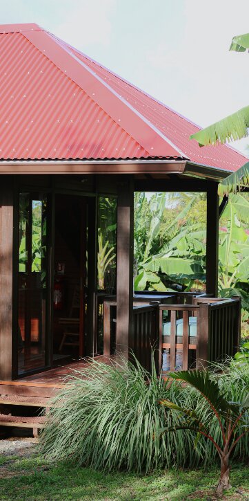 La nature à L'Anacardier