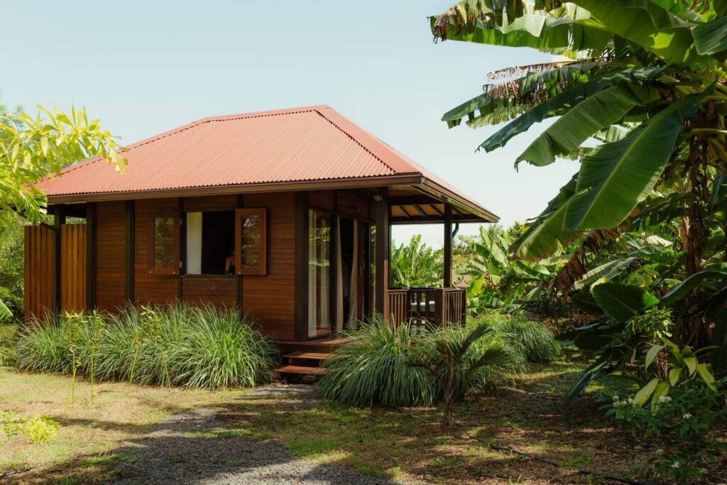 faa807e7-e101-4594-a282-fbb3eb28c446